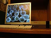 Overall view of the NES Mac Mini